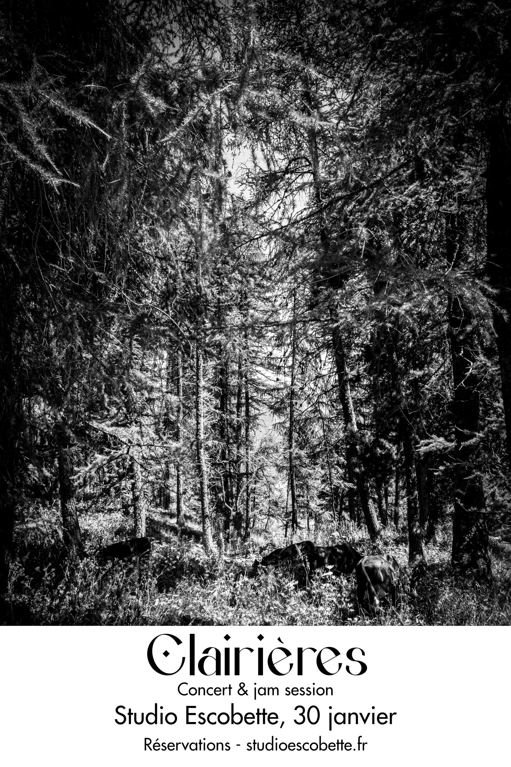 Premier concert de Clairières… au studio !